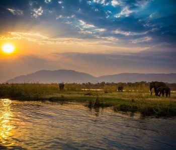 71556a15-27aa-4c66-acad-4a94a9cced6d