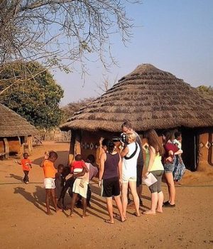 Zuri Safaris